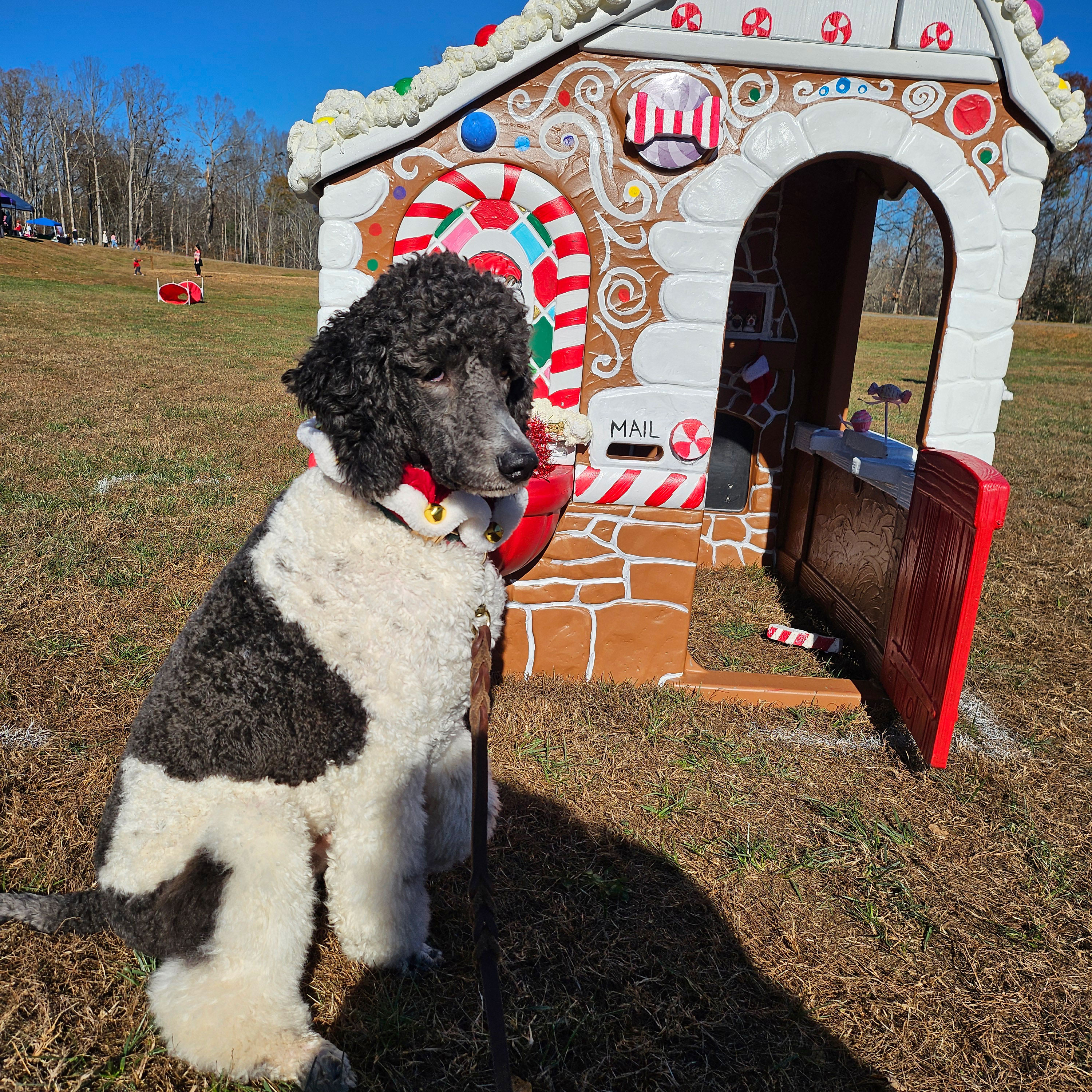 Catawba Valley Obedience Club, Hickory, NC